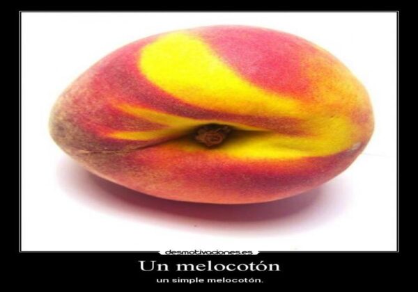 Melocoto - Imatge 2