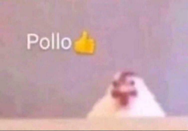 Pollastre - Imatge 3